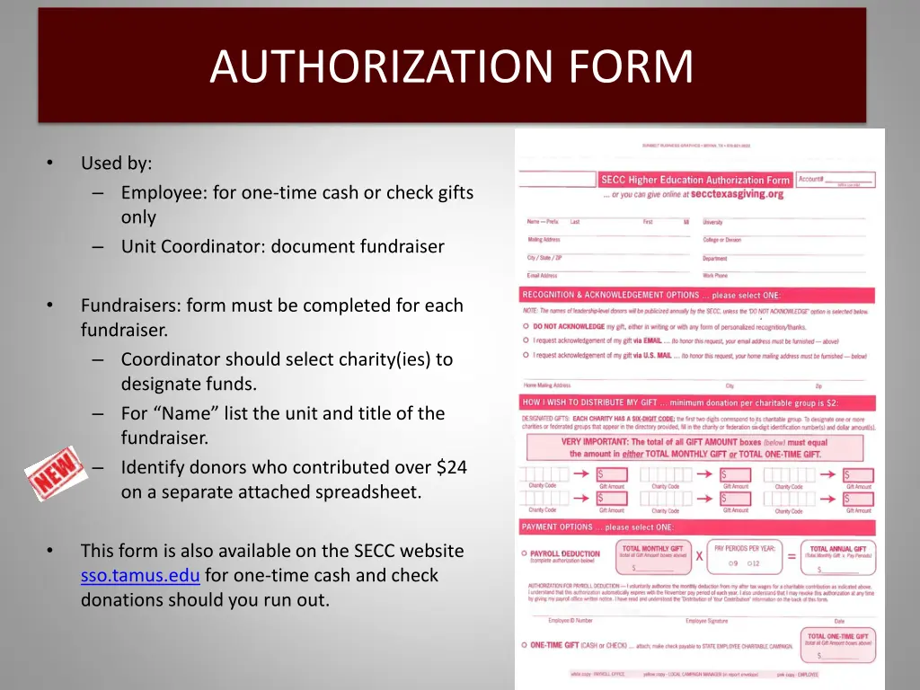 authorization form