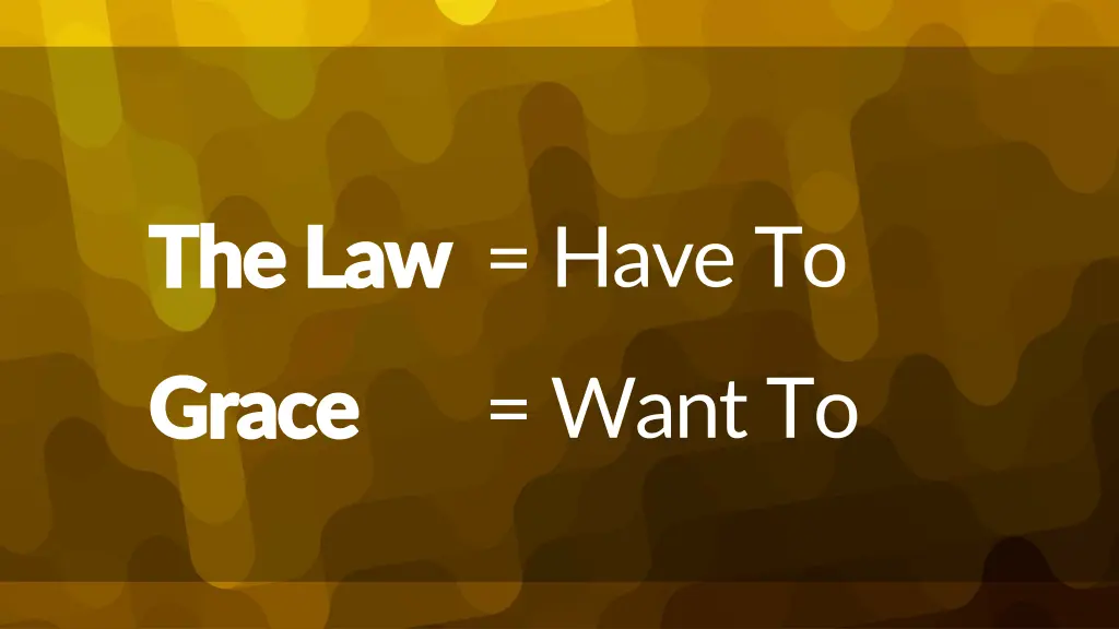the law the law have to