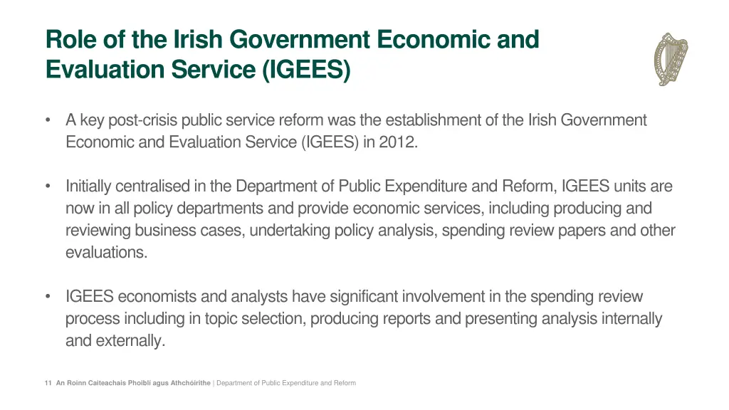 role of the irish government economic