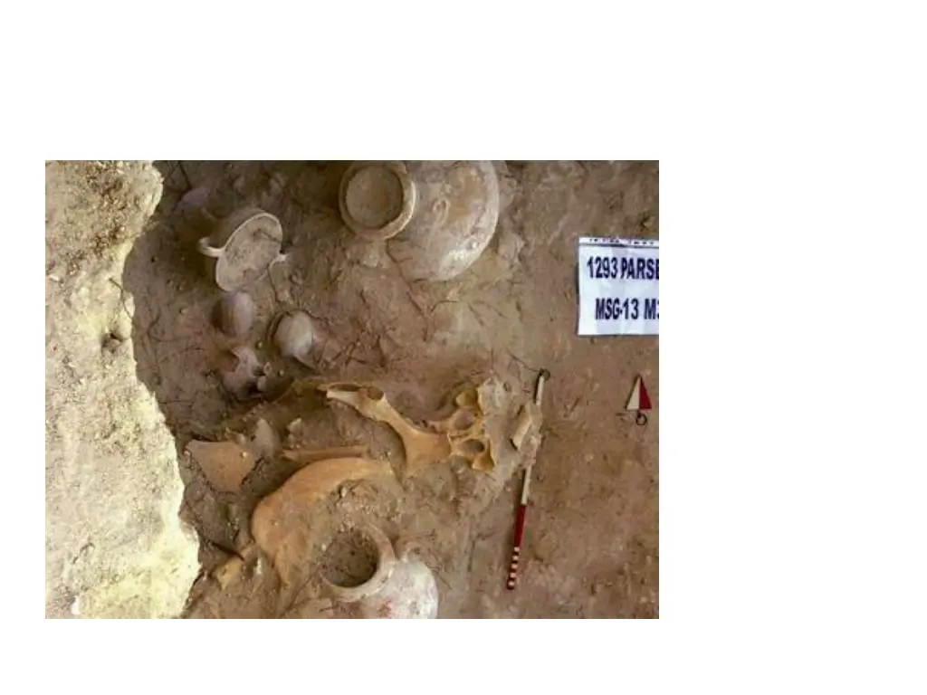 slide9
