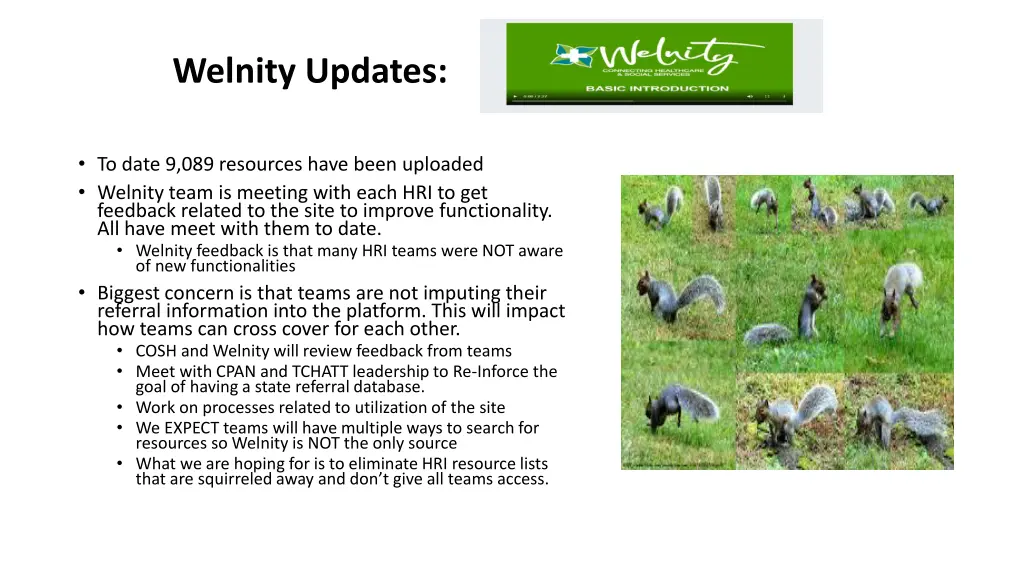 welnity updates