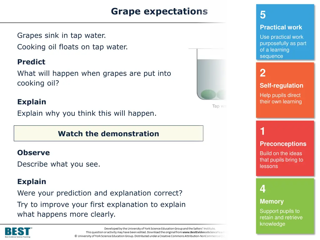 grape expectations 1