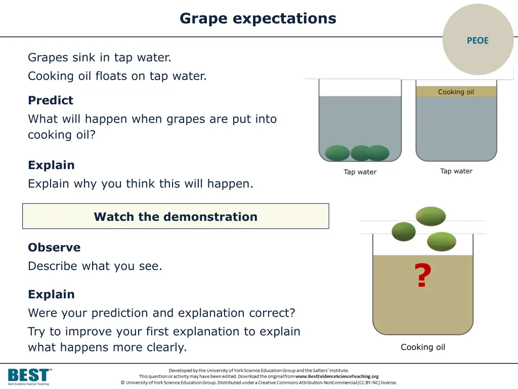 grape expectations
