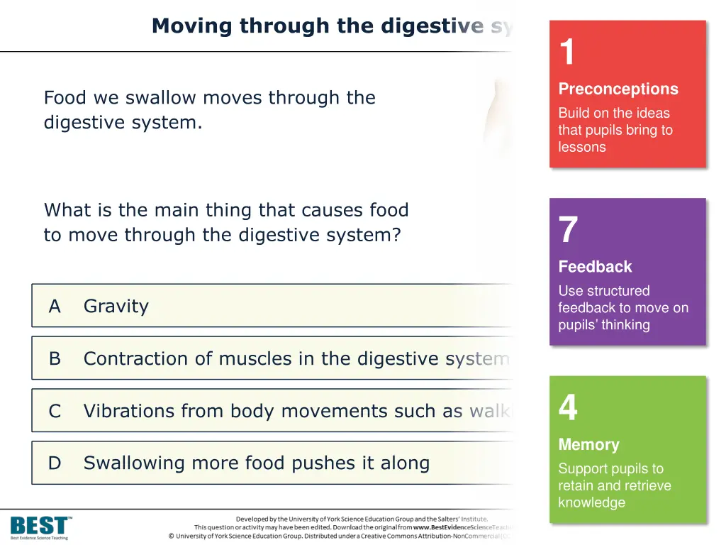 moving through the digestive system 1