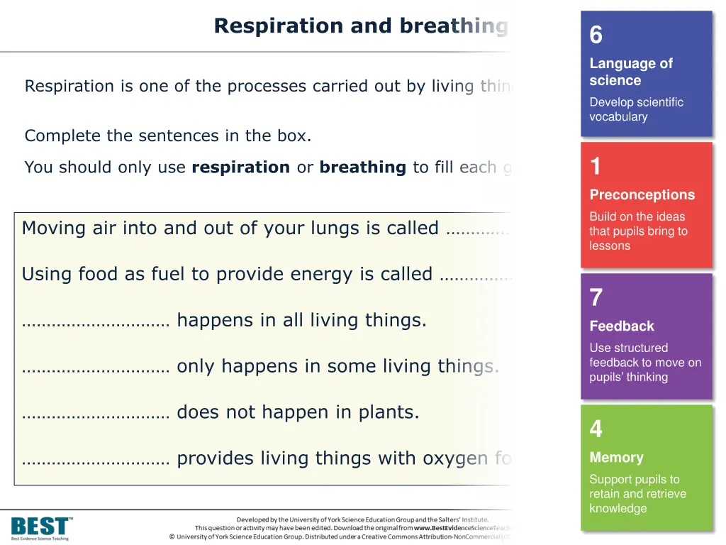 respiration and breathing 1