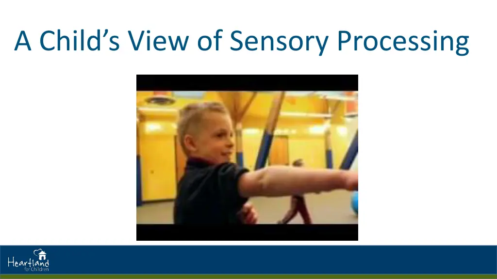 a child s view of sensory processing