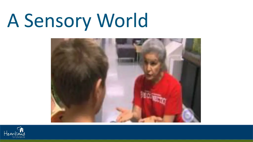 a sensory world