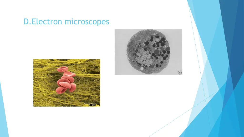 d electron microscopes