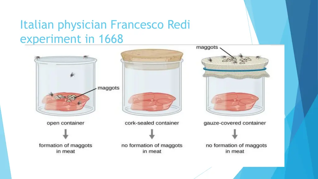 italian physician francesco redi experiment