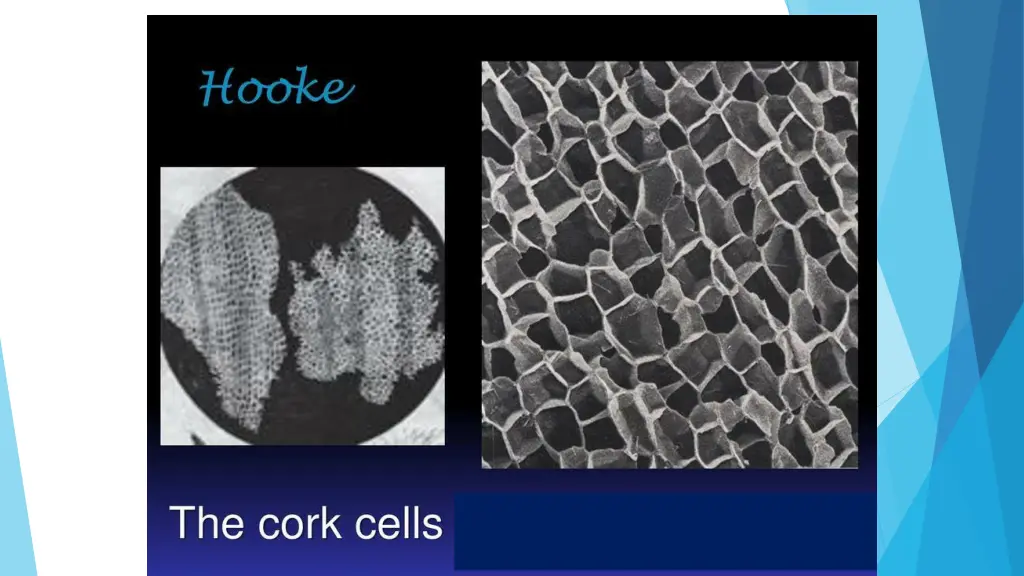 slide5