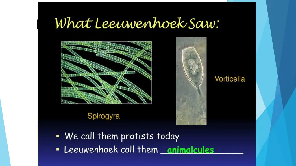 slide6