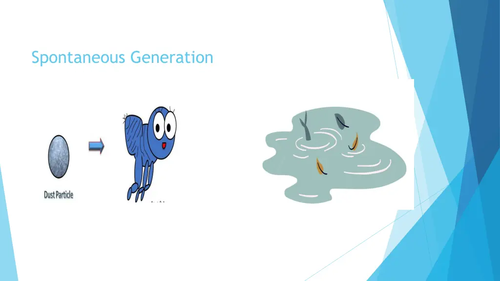 spontaneous generation