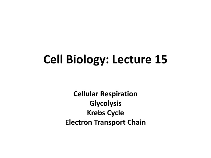 cell biology lecture 15