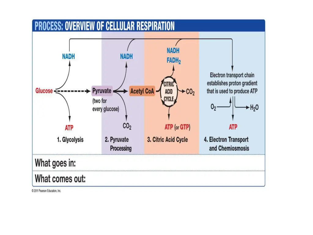 slide2