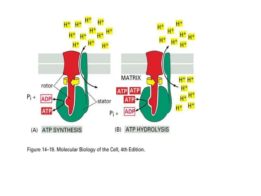 slide6