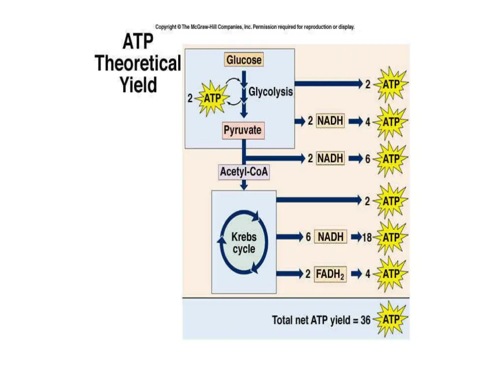 slide7