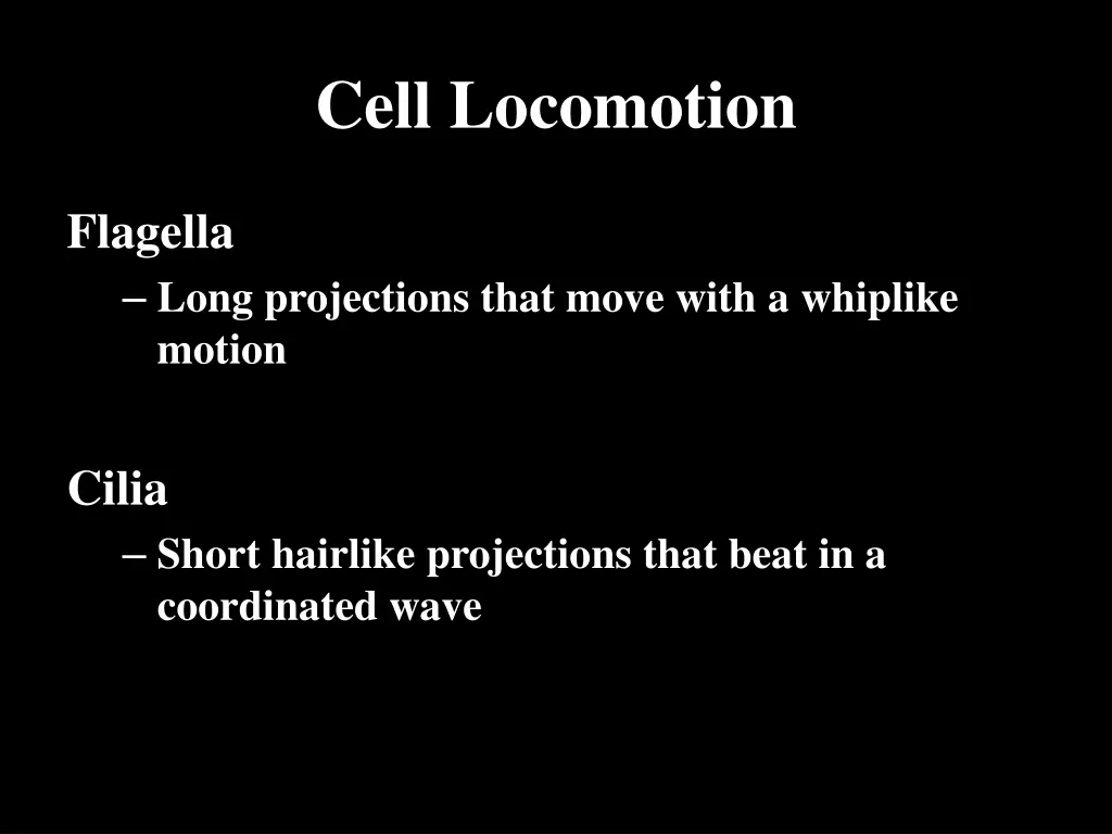 cell locomotion