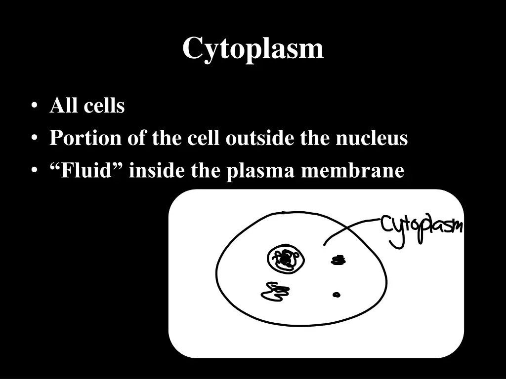 cytoplasm
