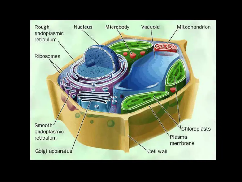slide20