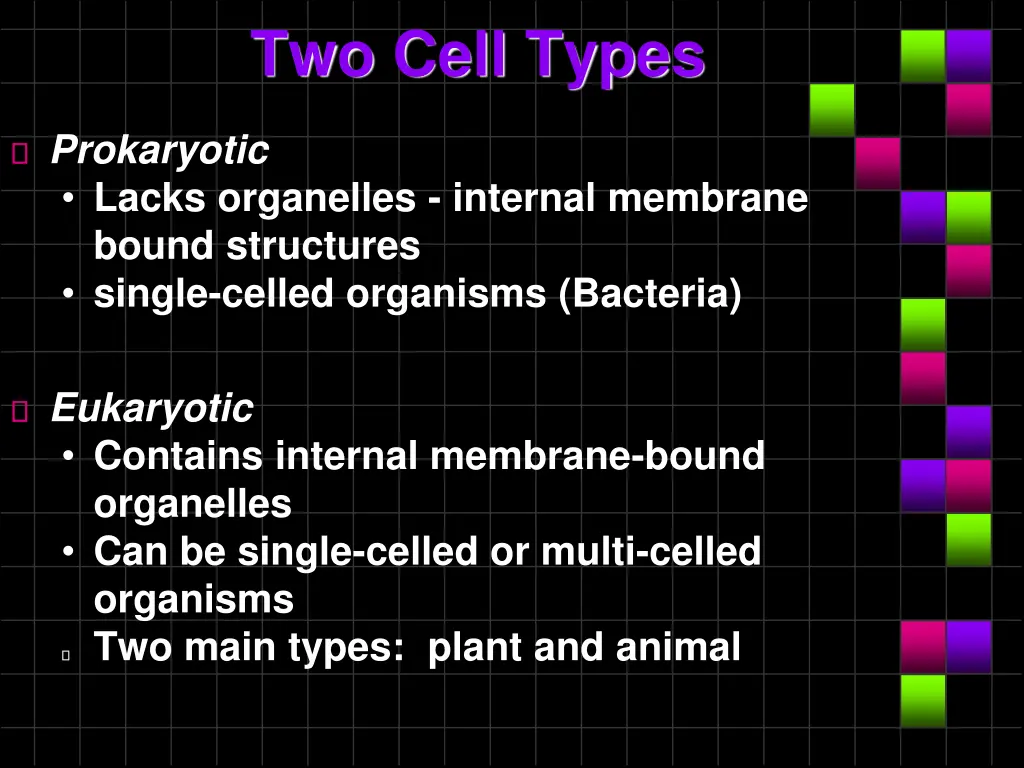 two cell types