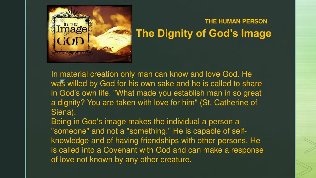 the human person