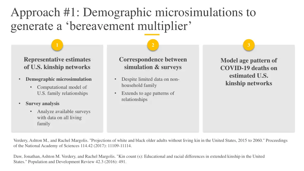 approach 1 demographic microsimulations