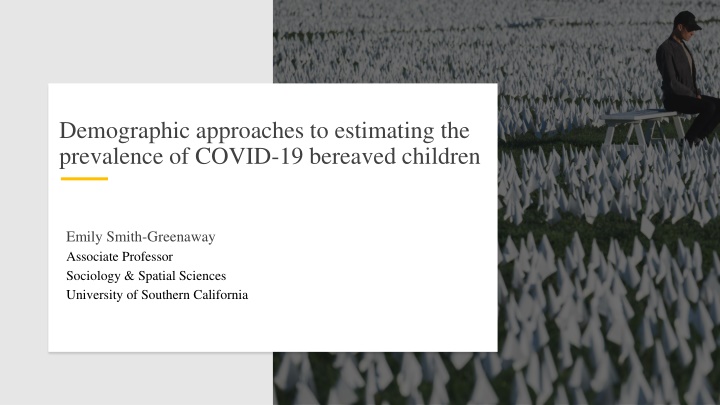 demographic approaches to estimating