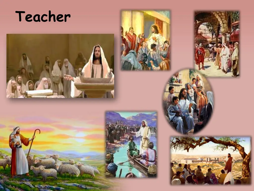 teacher