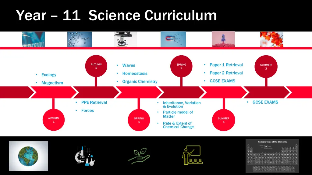 year 11 science curriculum