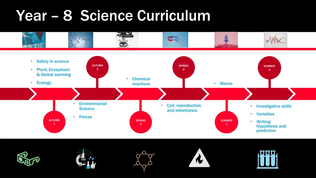 year 8 science curriculum