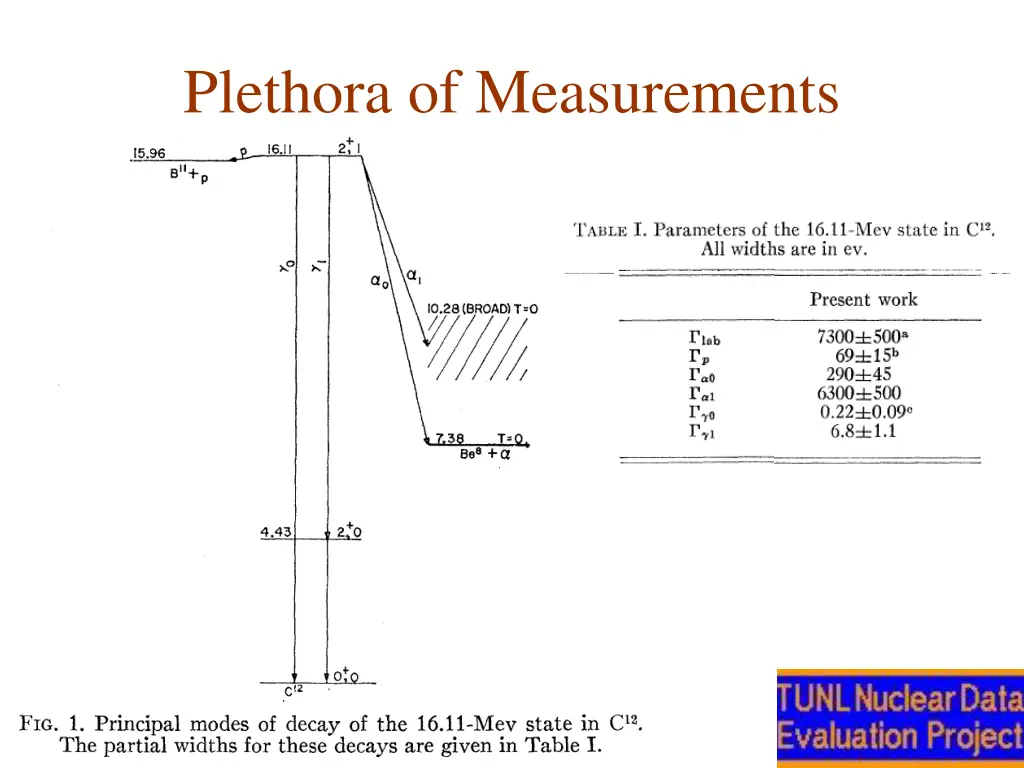 plethora of measurements 1