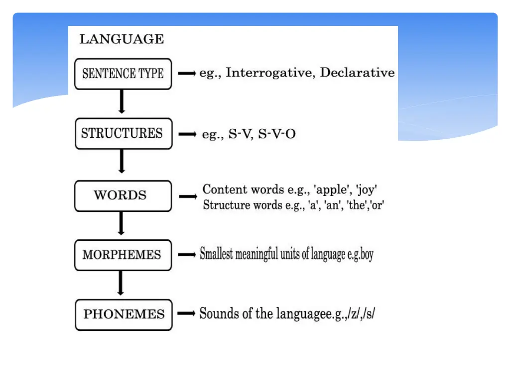 slide6