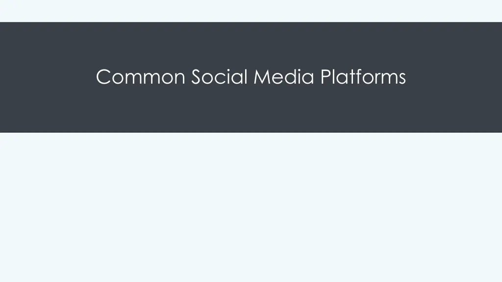 common social media platforms