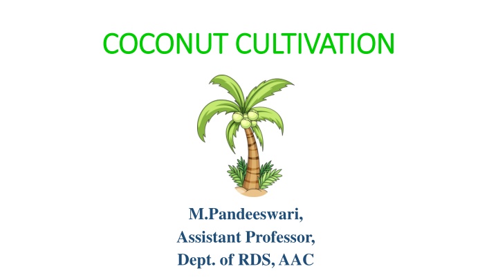 coconut cultivation coconut cultivation