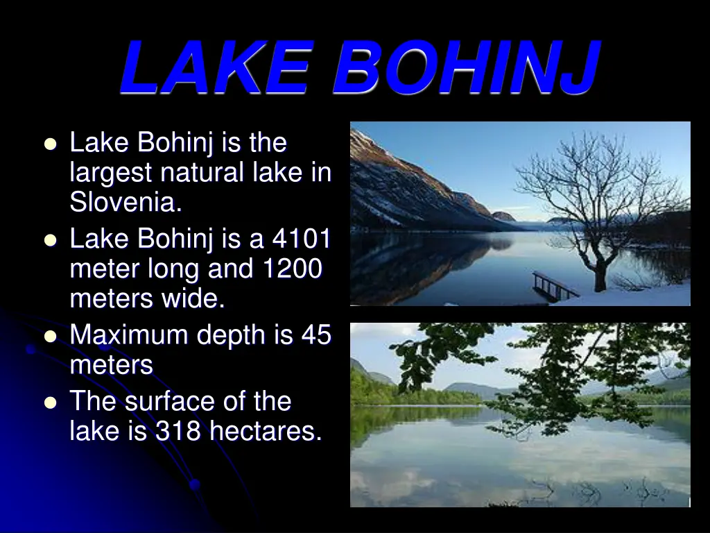 lake bohinj
