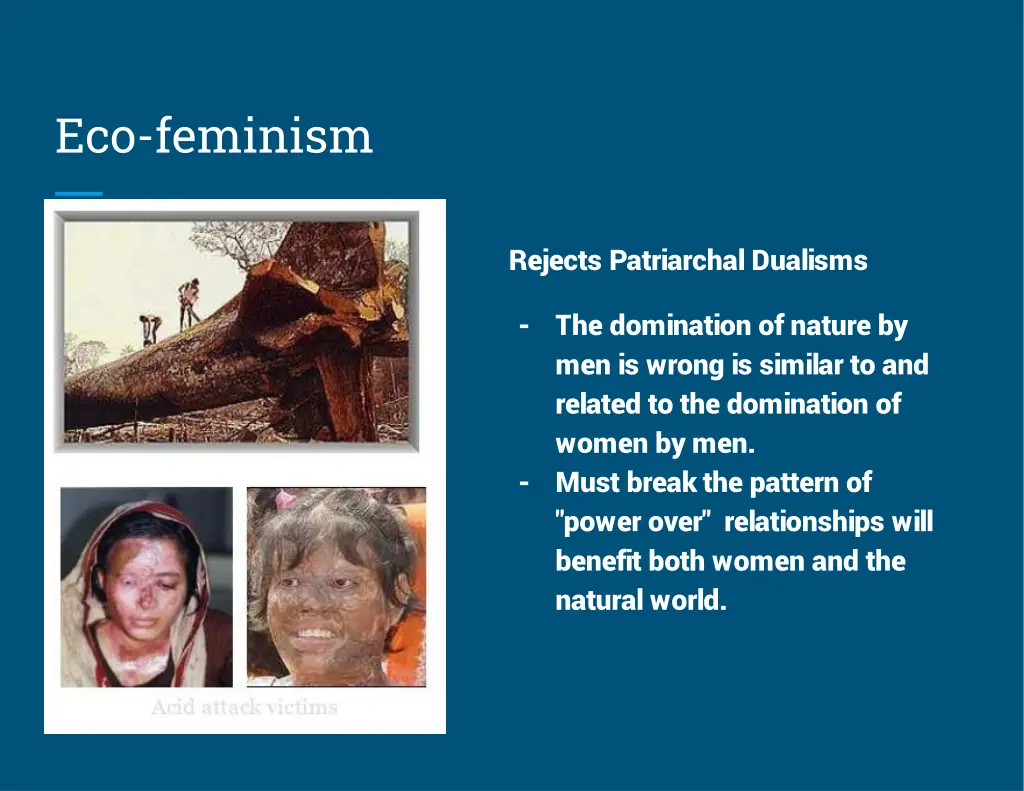 eco feminism