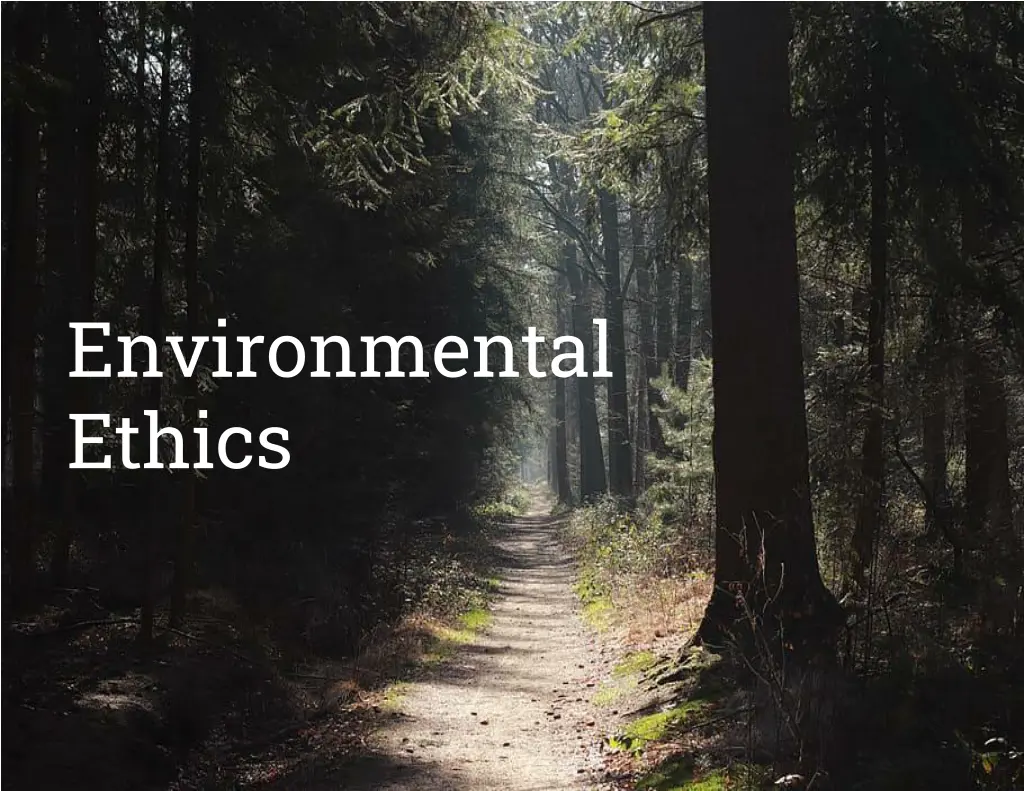 environmental ethics