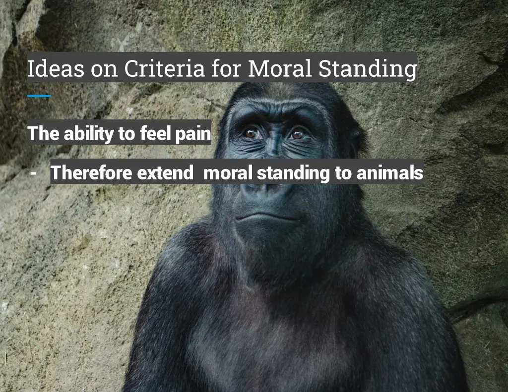 ideas on criteria for moral standing