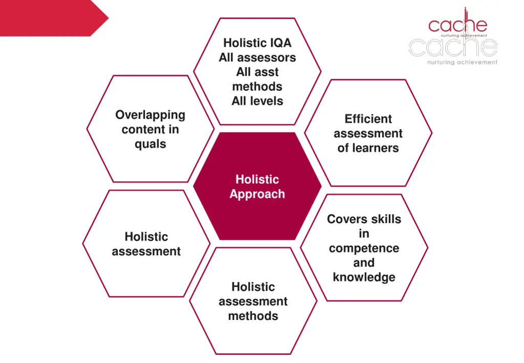 holistic iqa all assessors all asst methods