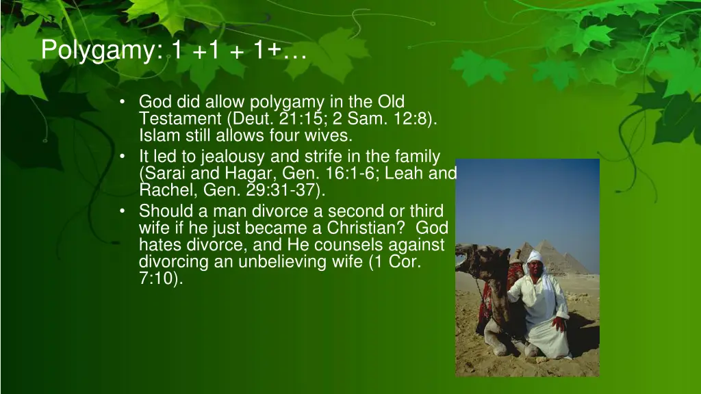 polygamy 1 1 1