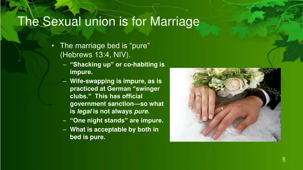 the sexual union is for marriage