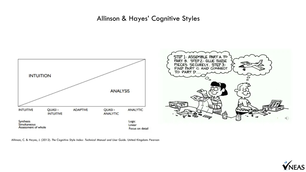 allinson hayes cognitive styles