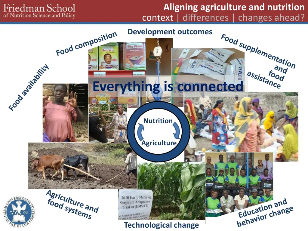 aligning agriculture and nutrition context