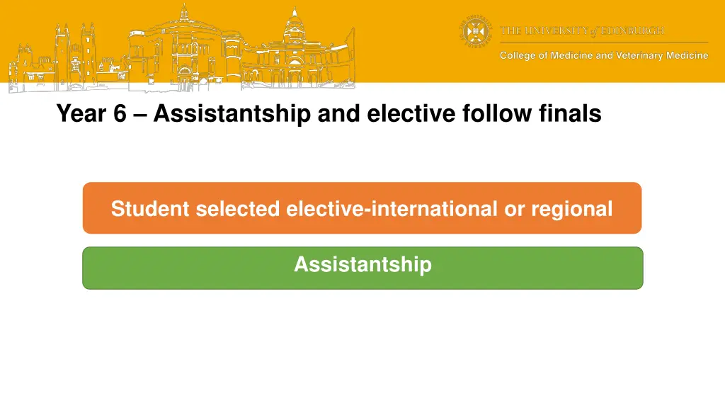 year 6 assistantship and elective follow finals