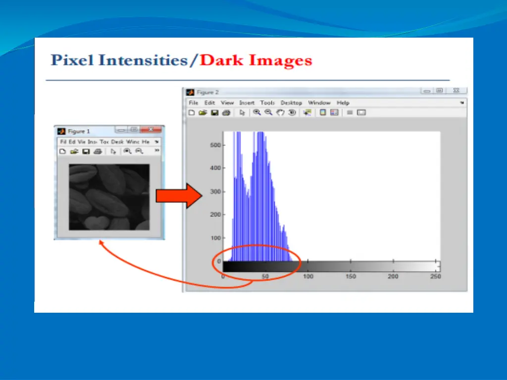 slide10