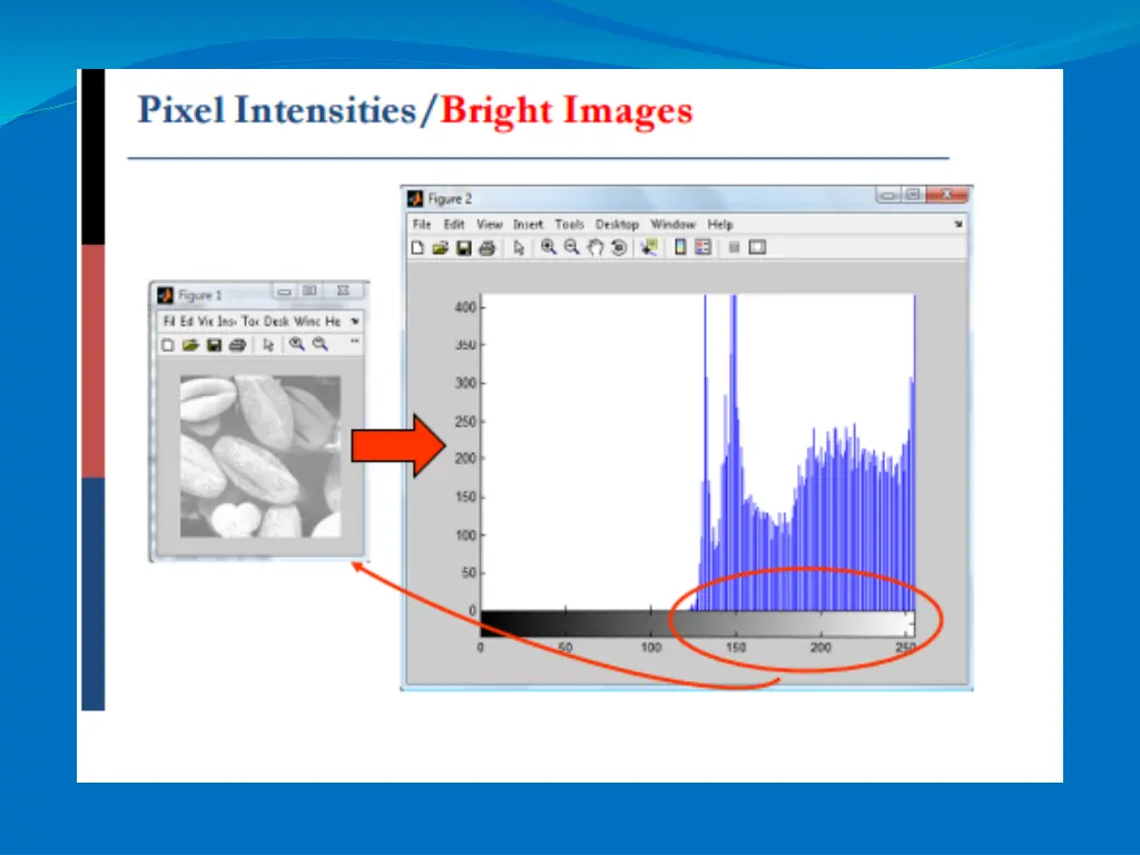 slide11