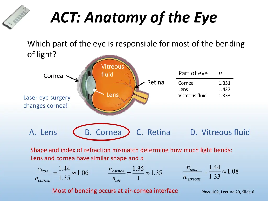 act anatomy of the eye