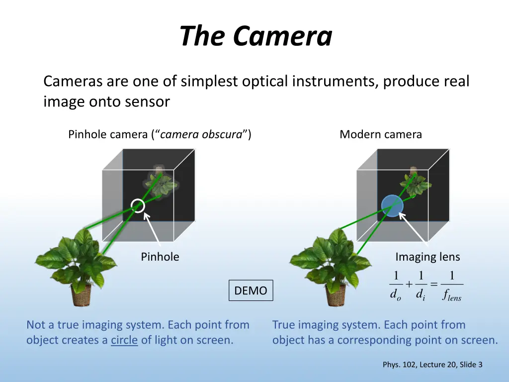 the camera