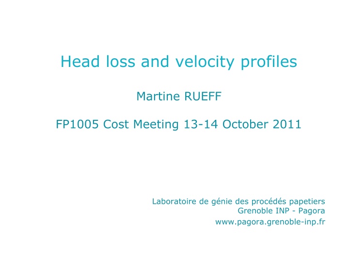 head loss and velocity profiles