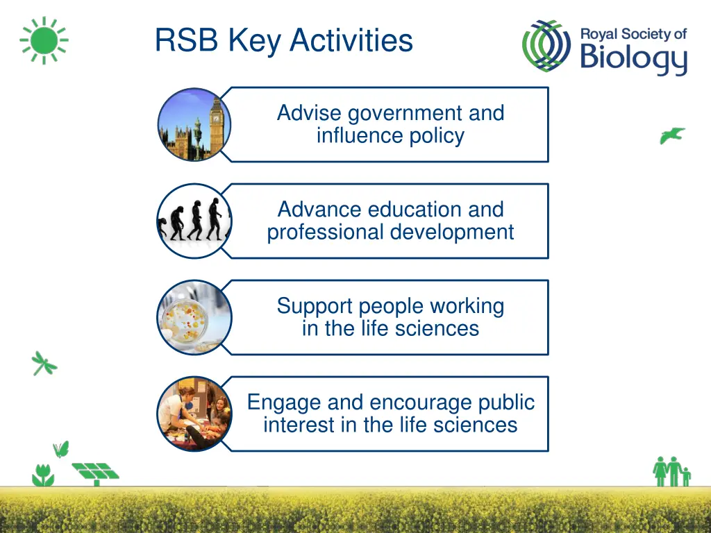 rsb key activities